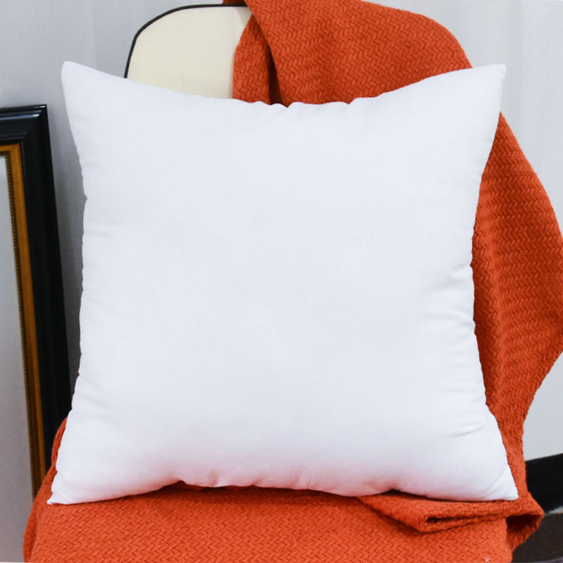 Double Trouble Walking Cat - Personalised Gifts | Pillow for Cat Lovers